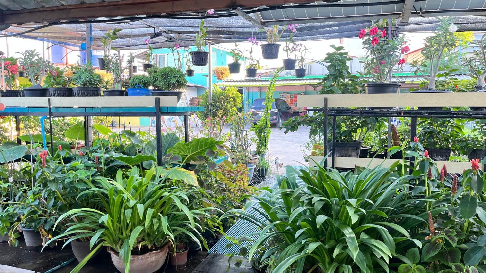 Pa Chalermchai Guesthouse Банкок Екстериор снимка